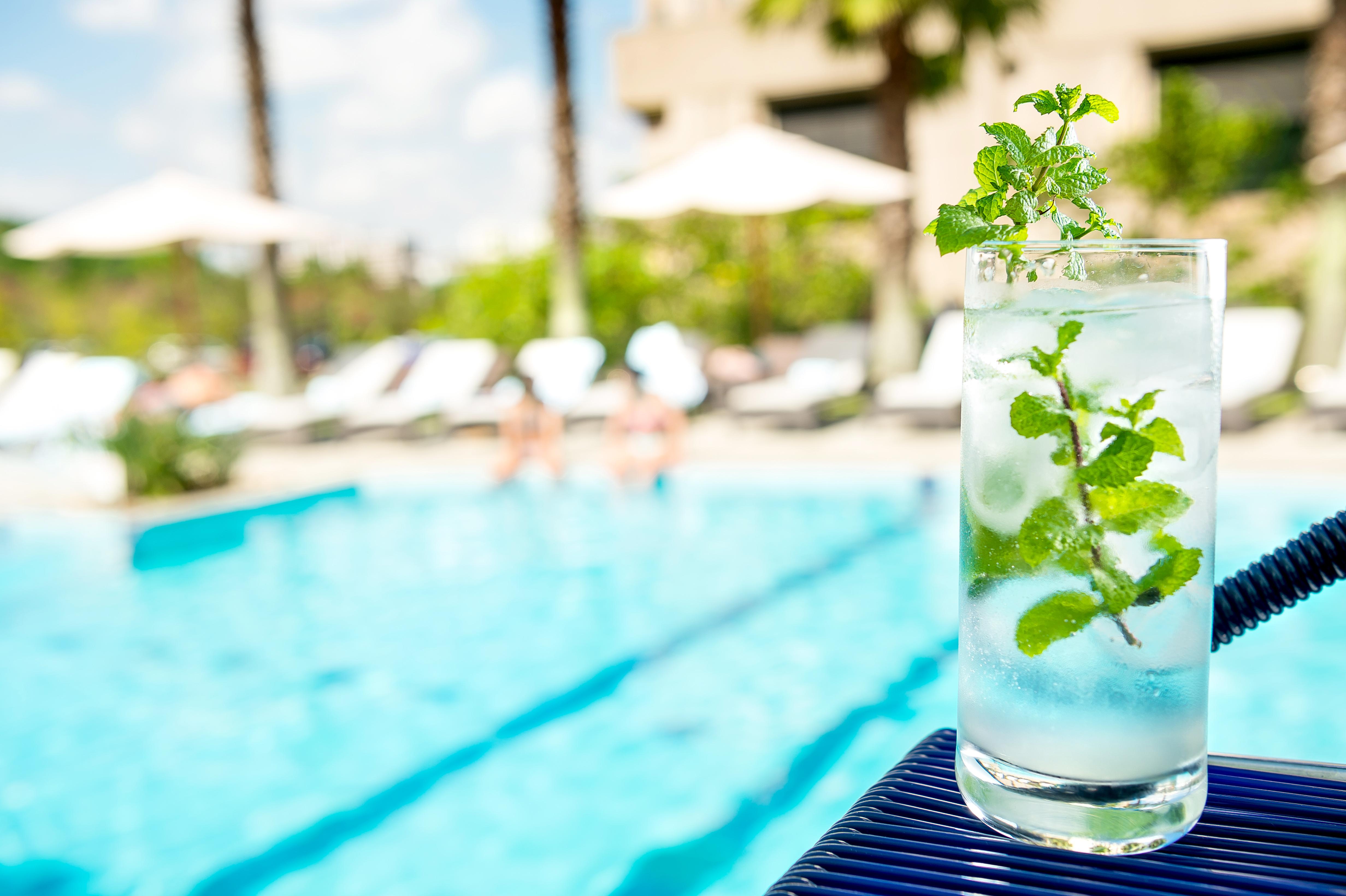 فندق بولمان ساو باولو مطار جوارول هاوس جوارولوس المظهر الخارجي الصورة A glass of water with mint leaves